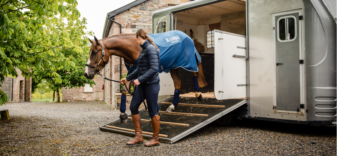 Stress-Free Journeys: Top Travel Tips for Your Horse