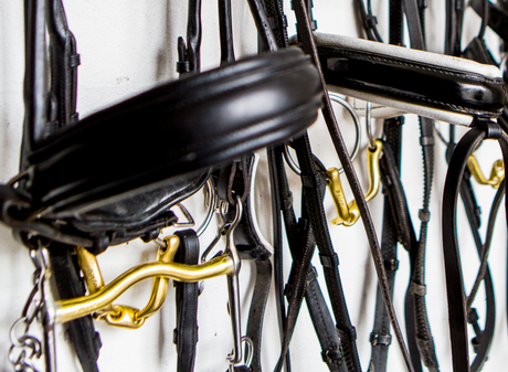 The Science: Nueu Schule Solax Gold Horse Bits