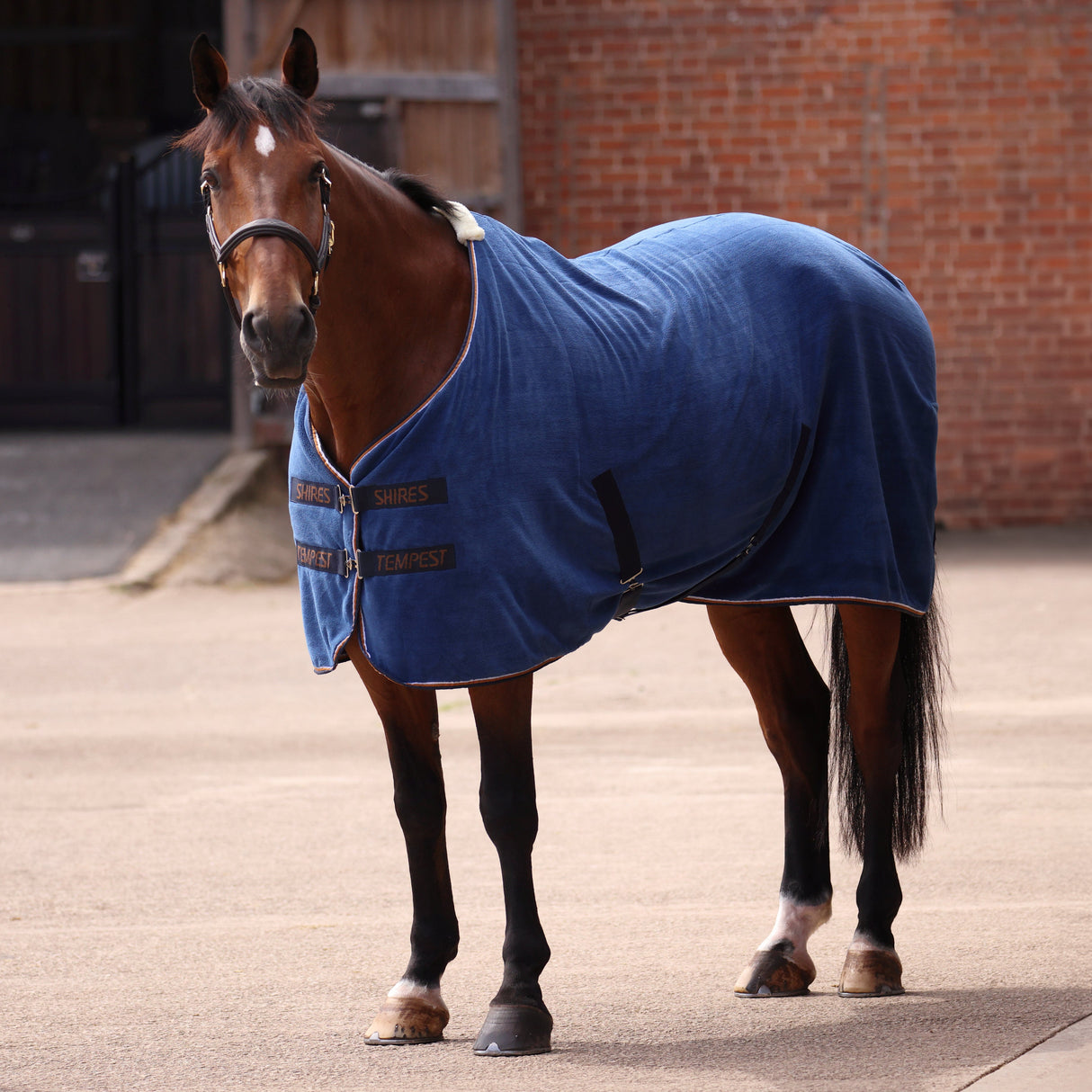 Shires Tempest Original Ultra Drying Rug #colour_navy