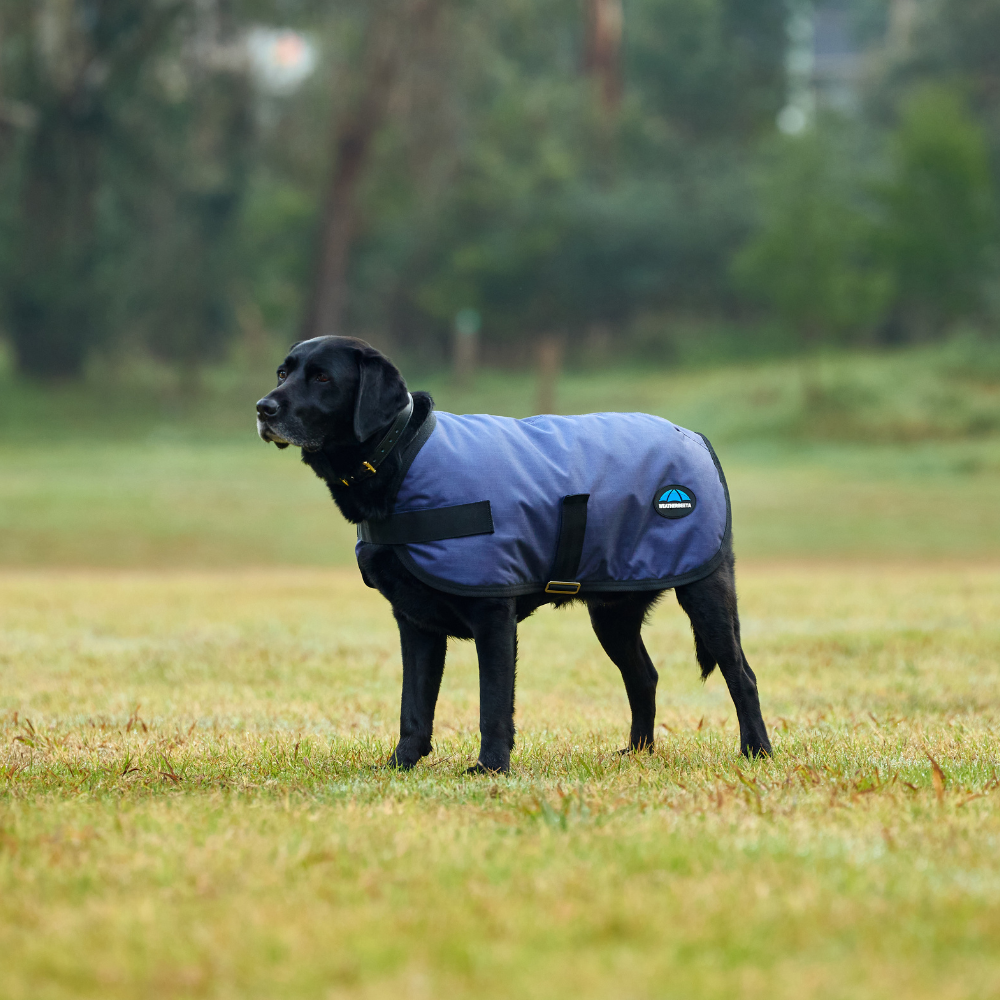 Weatherbeeta Comfitec Classic Waterproof Dog Coat #colour_navy