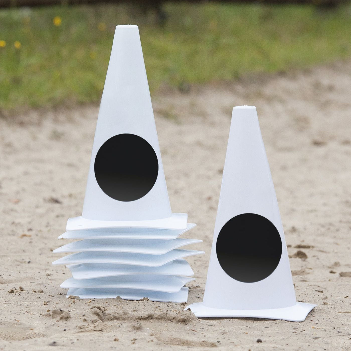 Waldhausen Circle Points Dressage Markers