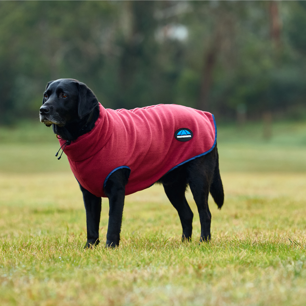 Weatherbeeta Comfitec Fleece Zip Dog Coat #colour_burgundy-navy