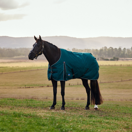 Weatherbeeta Comfitec Classic 50G Turnout #colour_forest-green-black