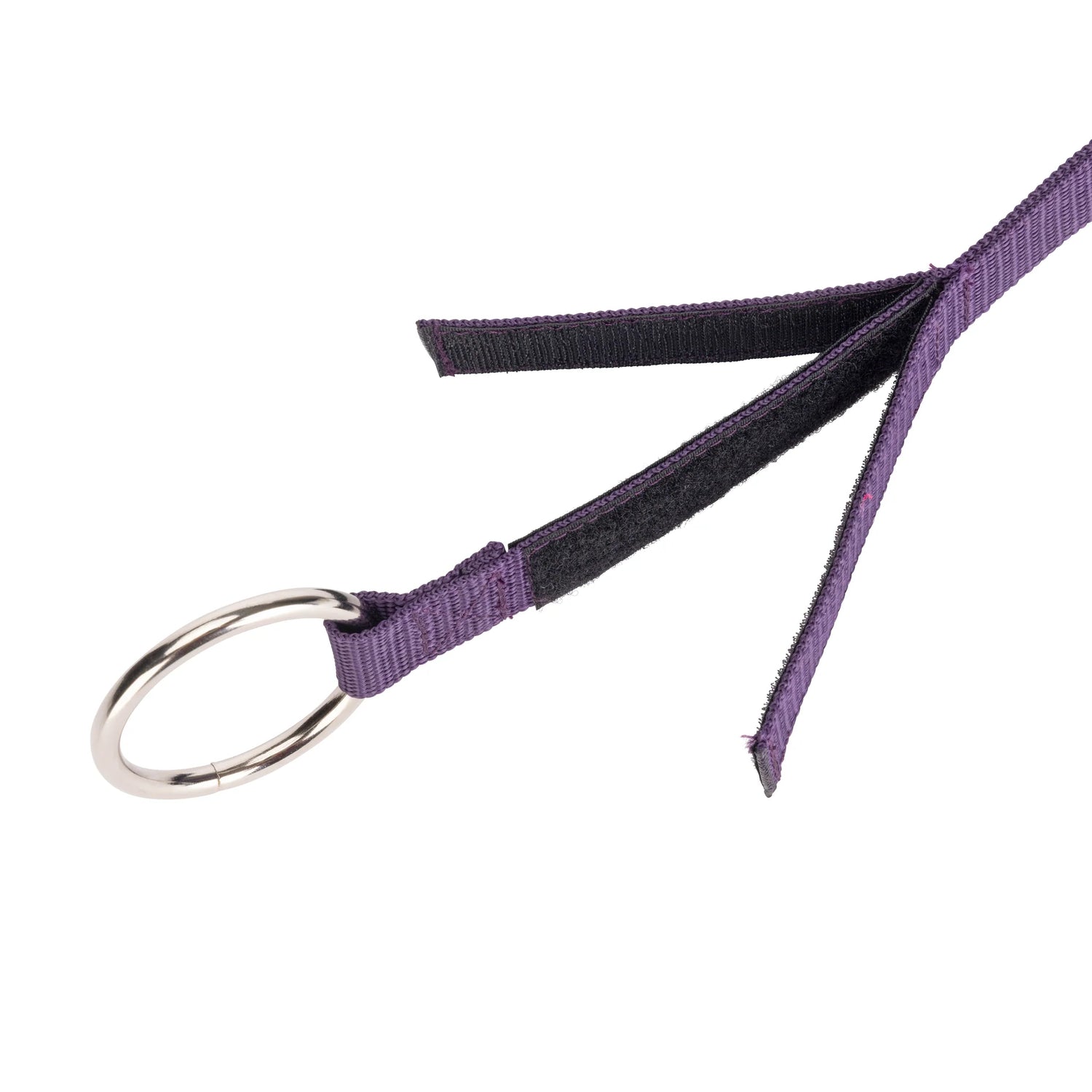 Shires ARMA Breakaway Tie #colour_purple