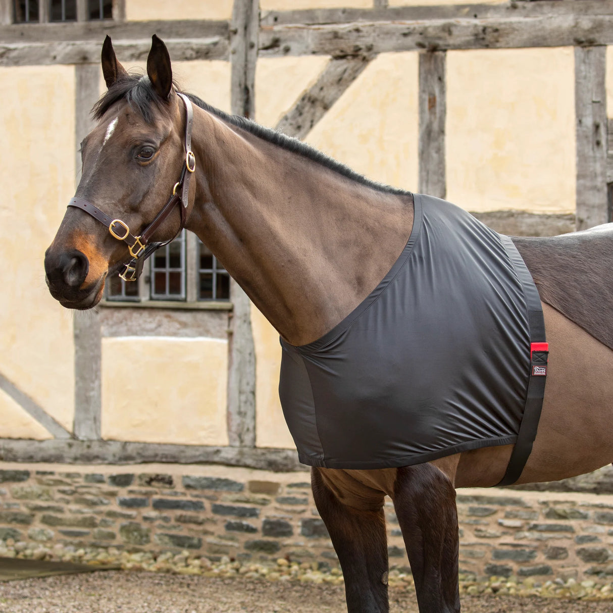 Gilet extensible anti-frottement Shires