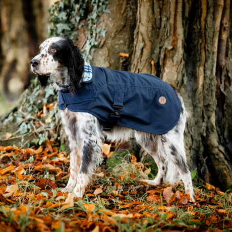 Horseware Ireland Newmarket Heritage Dog Coat #colour_navy-whitney-navy