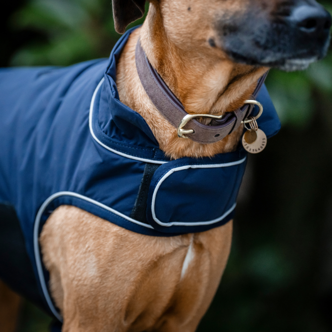 Horseware Ireland Signature 100g Dog Rain Coat #colour_navy