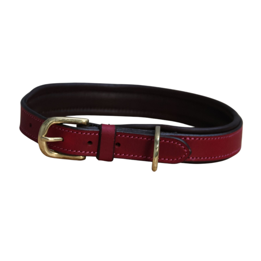 Mackey Padded Leather Dog Collar #colour_mulberry-brown