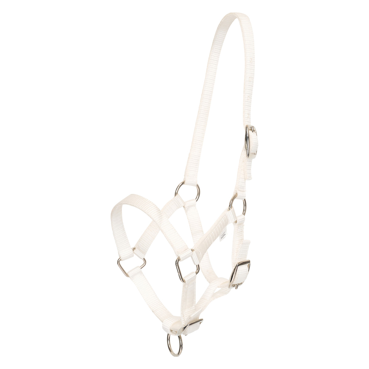 HV Polo Nena Foal Headcollar #colour_white