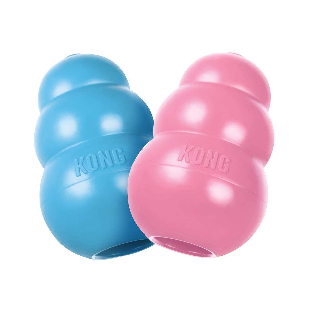 KONG Chiot