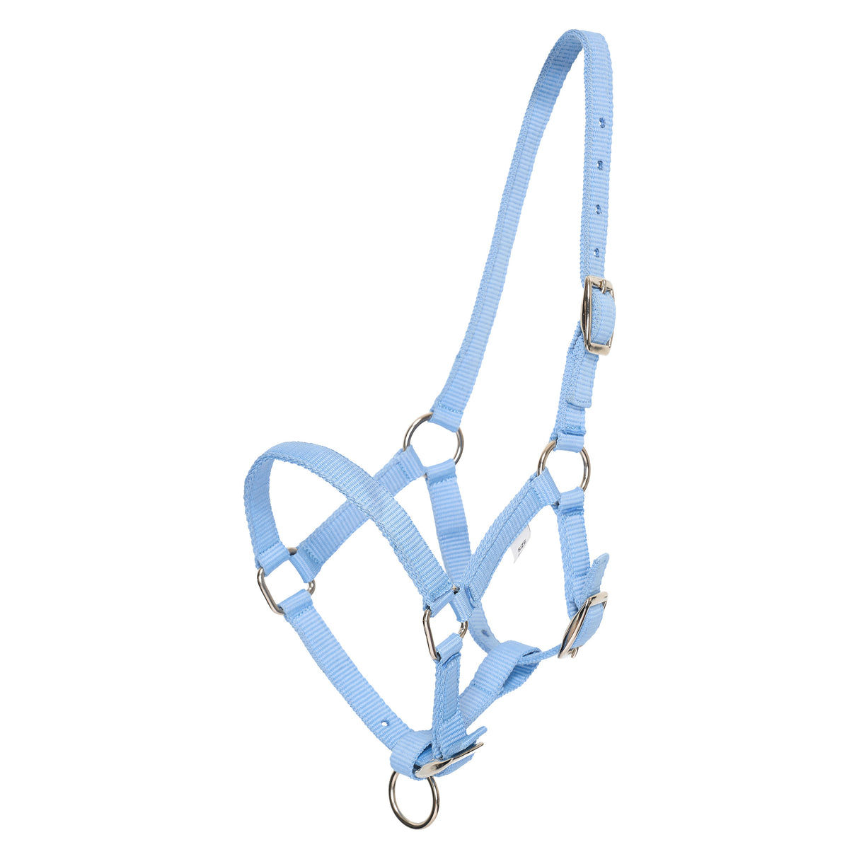 HV Polo Nena Foal Headcollar #colour_sea