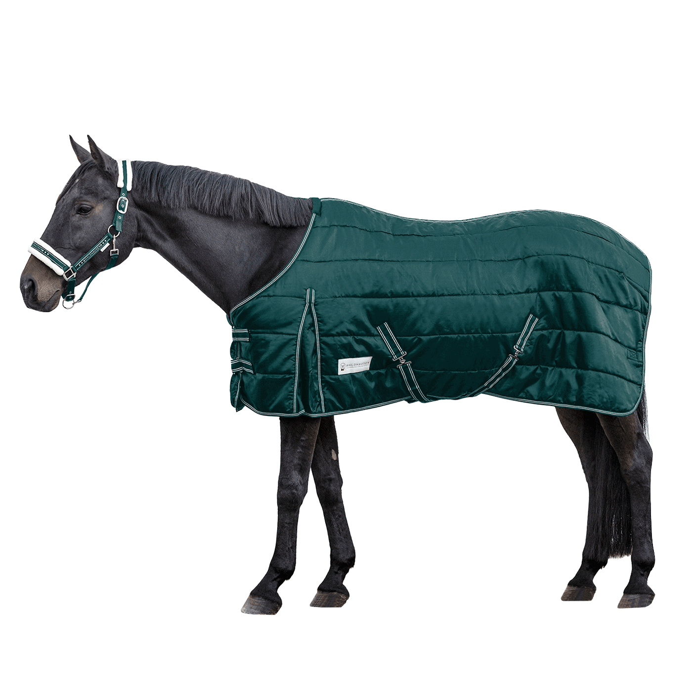 Waldhausen Economic 300g Stable Rug #colour_fir-green