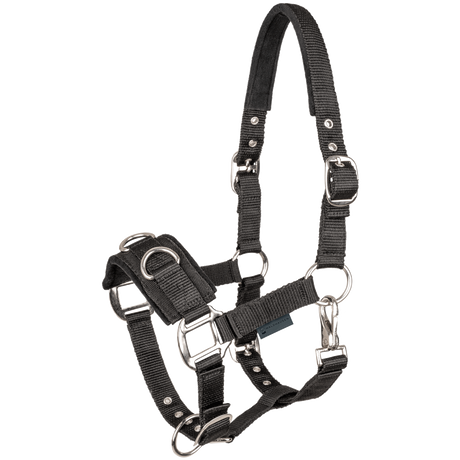 STAR Economic Lunging Halter #colour_black