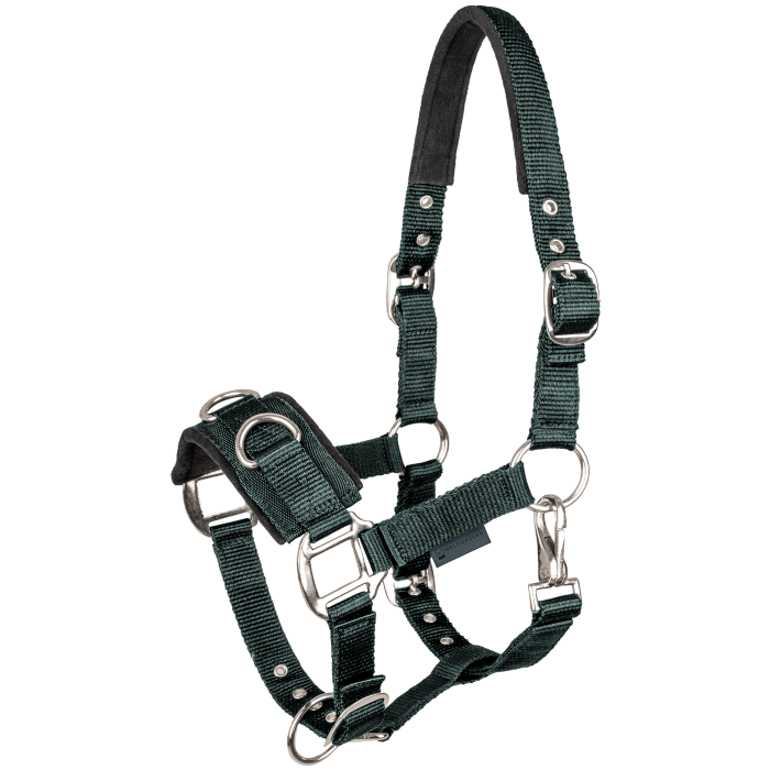 STAR Economic Lunging Halter #colour_fir-green