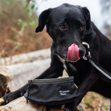 Mountain Paws Collapsible Dog Food Bowl #colour_black
