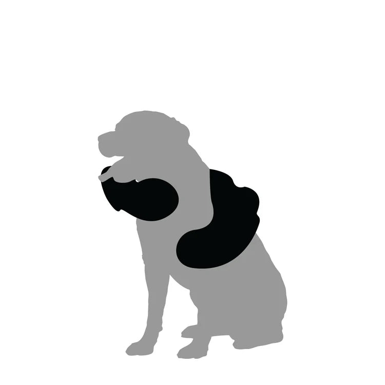 Mountain Paws Muddy Dog Towel