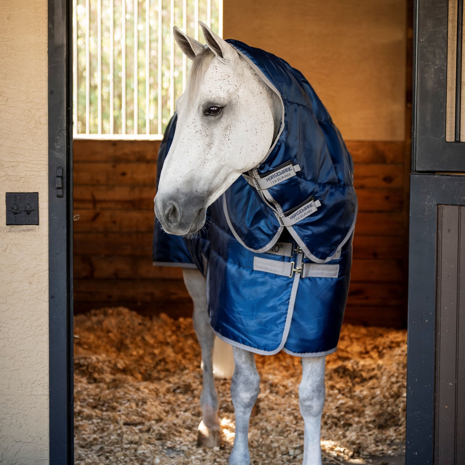 Horseware Ireland Amigo Ripstop Insulator 550g Plus Stable Rug #colour_navy-titanium-grey