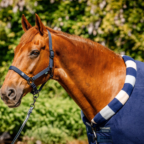 Horseware Ireland Newmarket Cosy Fleece Cooler #colour_witney-navy