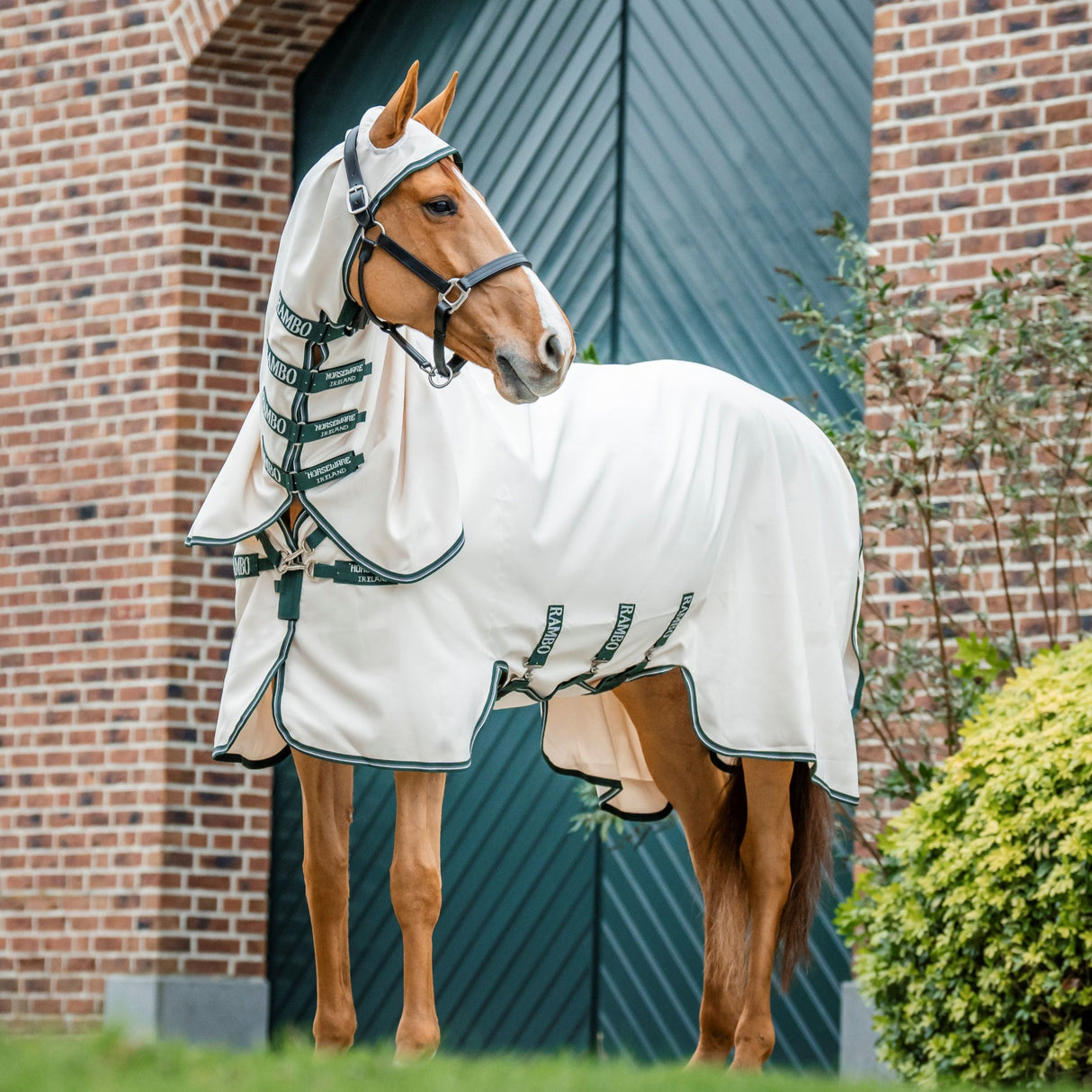 Horseware Ireland Rambo Hoody #colour_chalk-hunter-green-silver