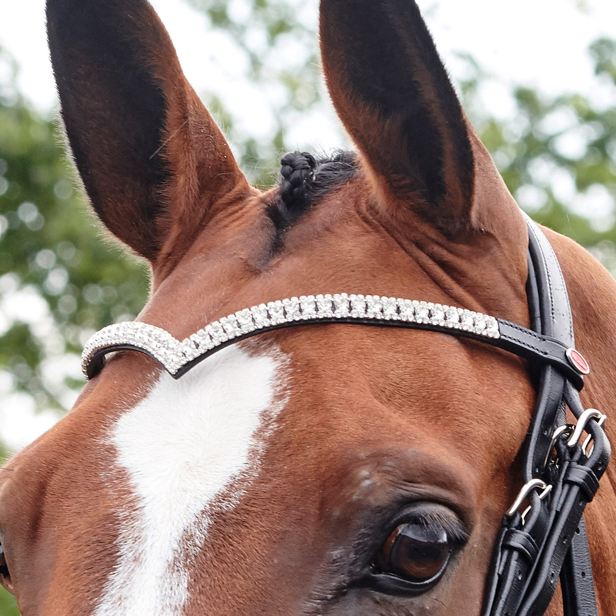Whitaker Lynton V-Shaped Diamante Browband #colour_havana