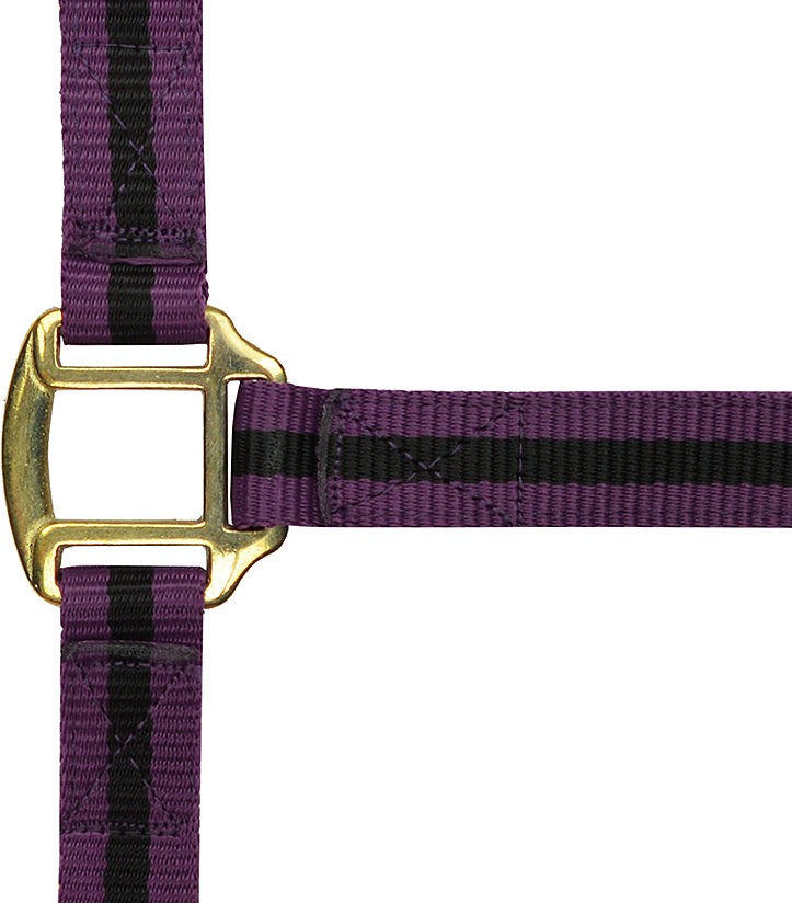 Norton Leather Lined Nylon Headcollar