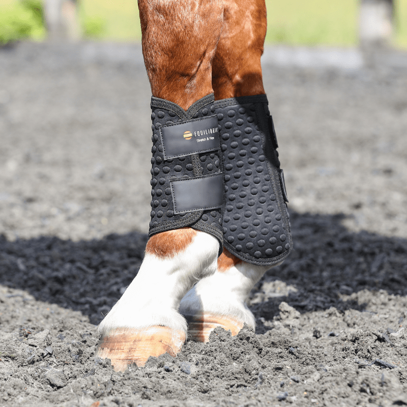 Equilibrium Stretch and Flex Flatwork Wraps
