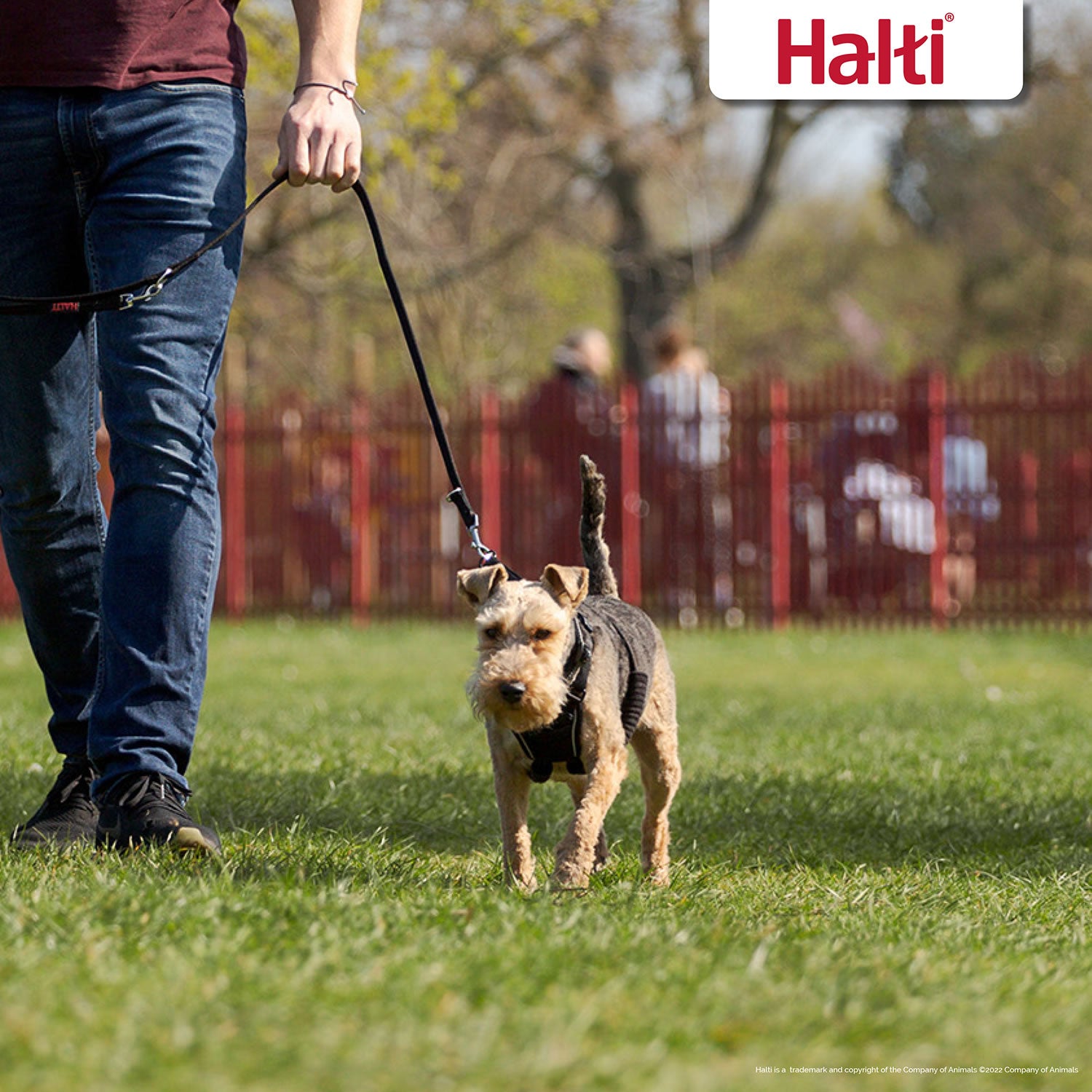 HALTI No Pull Harness