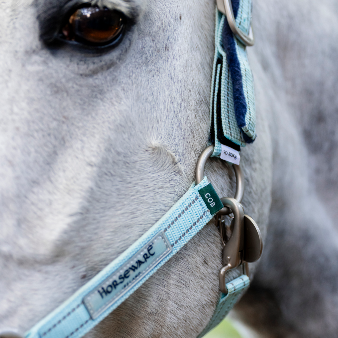 Horseware Ireland Field Safe Headcollar #colour_blue-haze