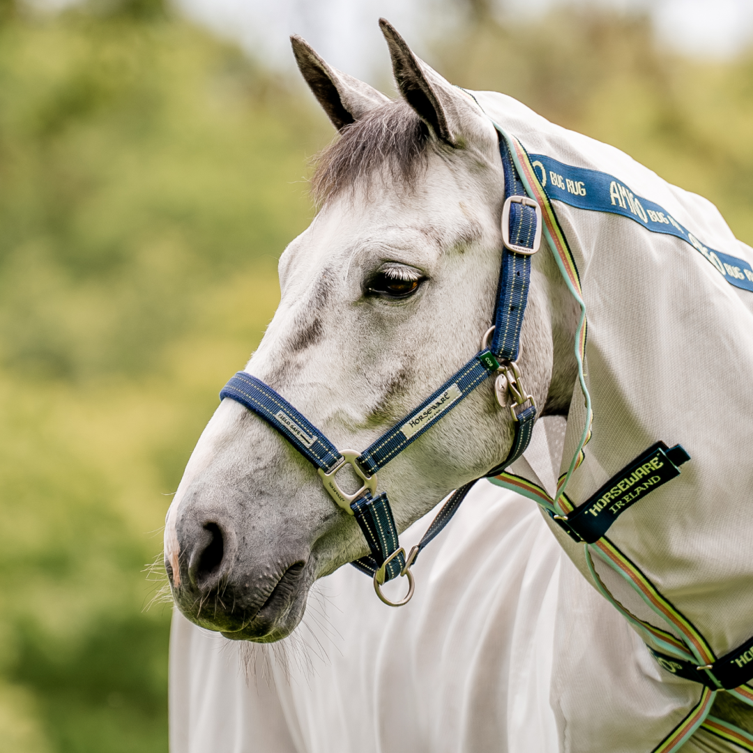 Horseware Ireland Field Safe Headcollar #colour_navy