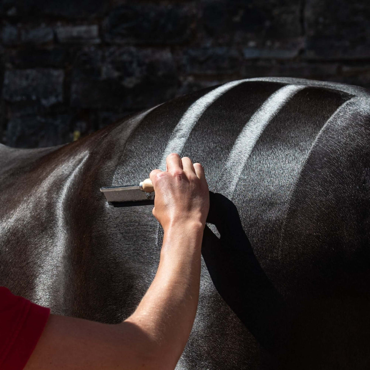 Smart Grooming Hunter Marker Comb