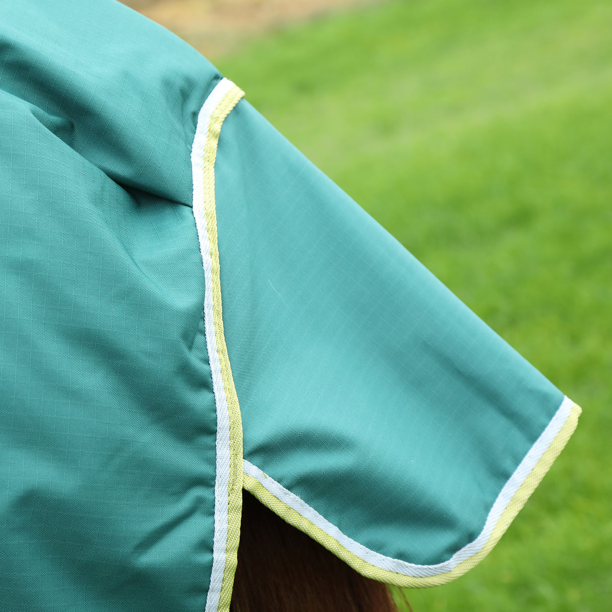 Bridleway Ontario 50g Combo Turnout Rug