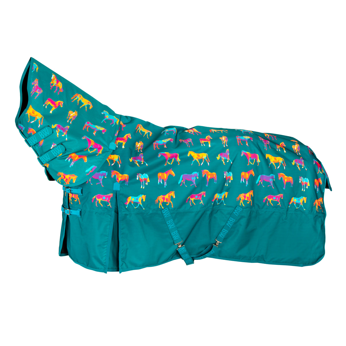 Bridleway Ontario 100g Combo Turnout Rug #colour_teal-horse