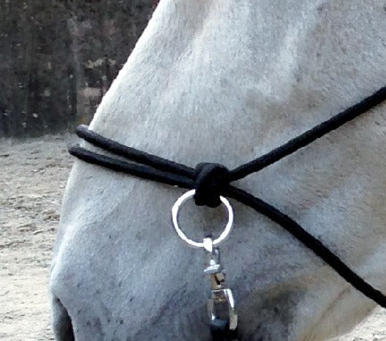 Norton Ethological Headcollar With Reins #colour_black