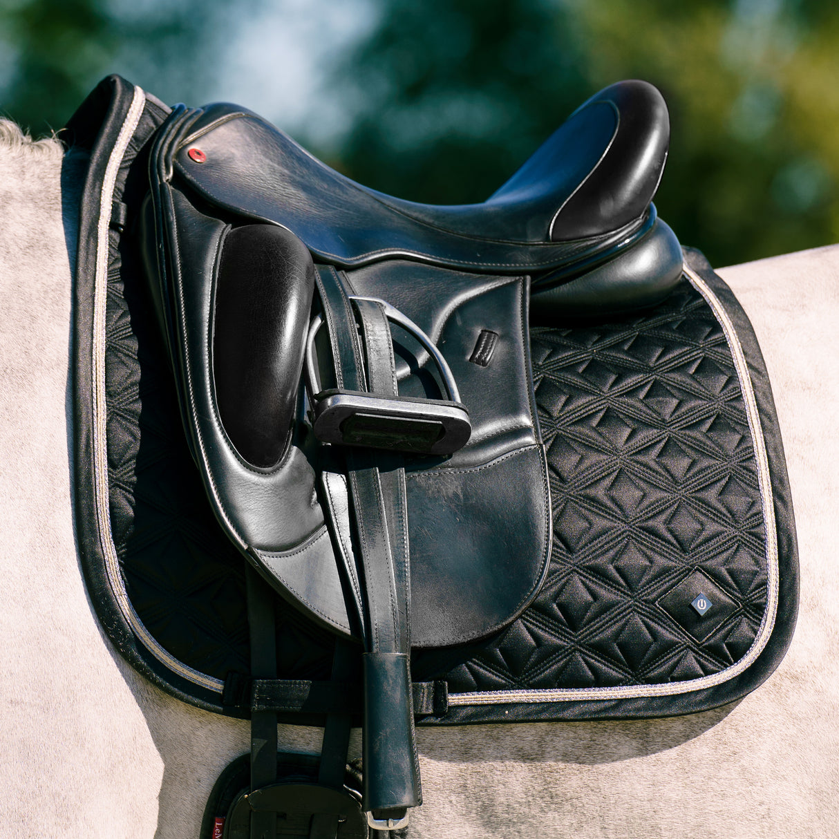 Imperial Riding Lenny Dressage Saddle Pad #colour_black