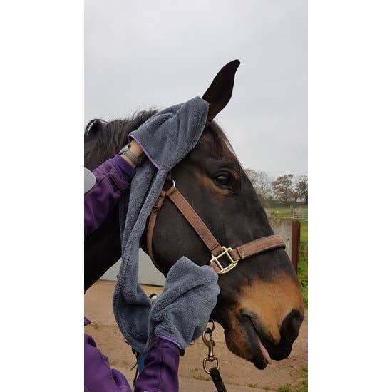 Henry Wag Equine Microfibre Glove Towel