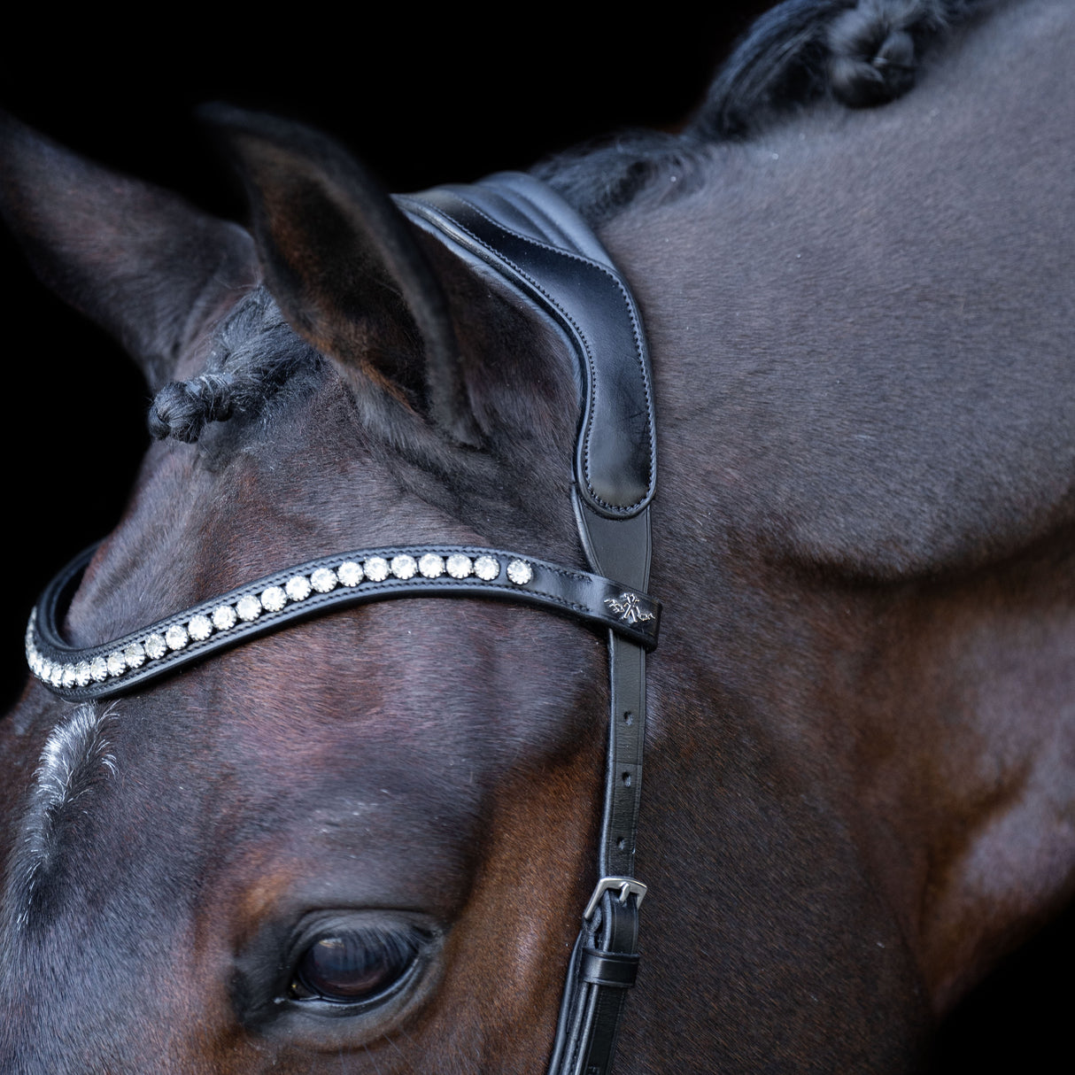 HV Polo Legacy Anatomical Deluxe Bridle #colour_black
