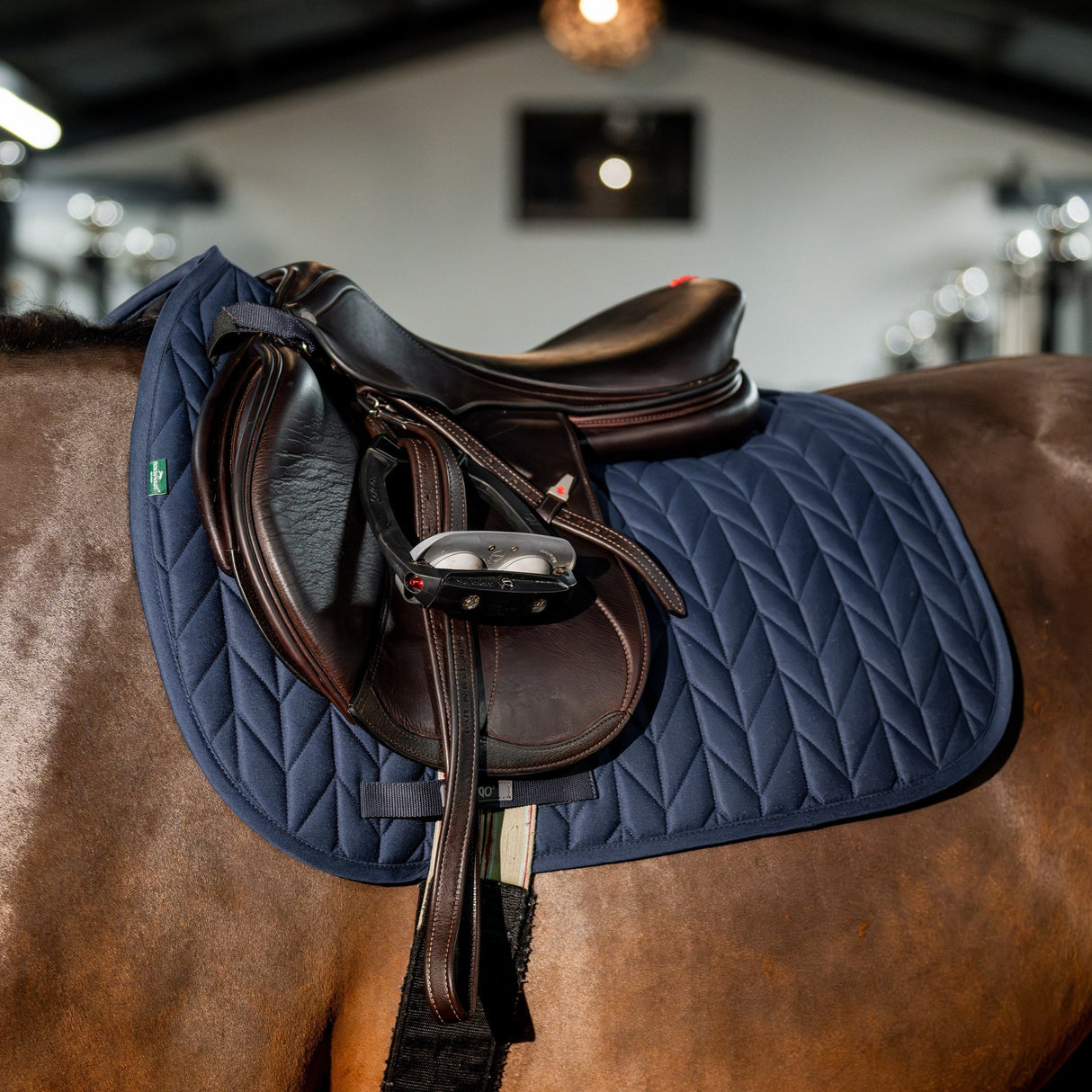 Horseware Ireland Amigo GP Saddle Pad #colour_navy
