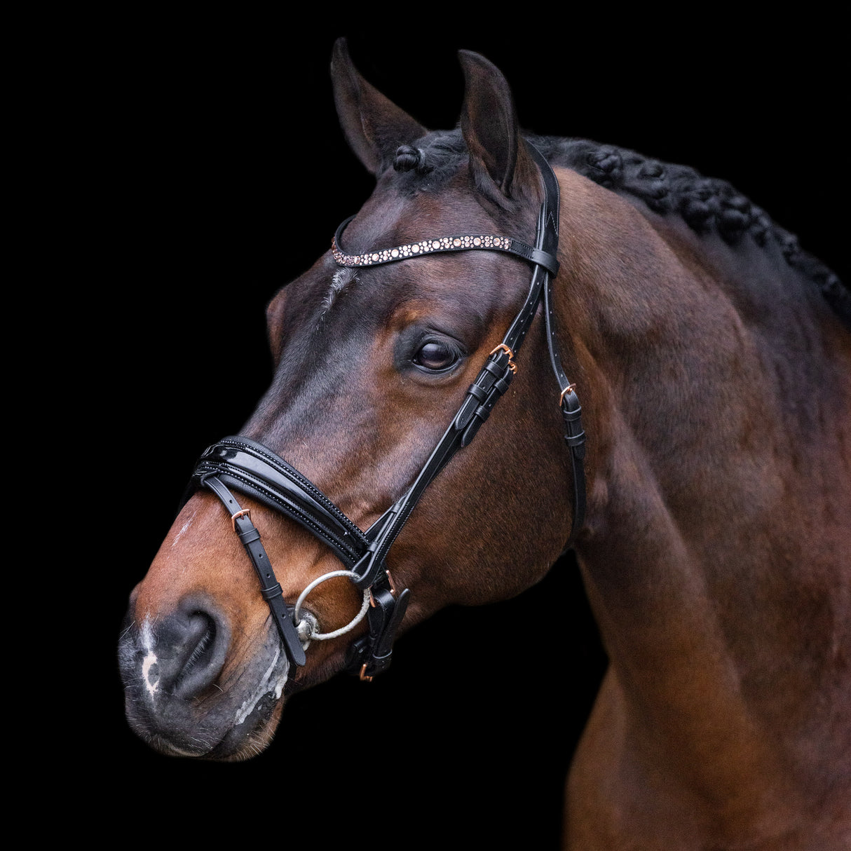 Imperial Riding Olympia Bridle #colour_black-rose-gold