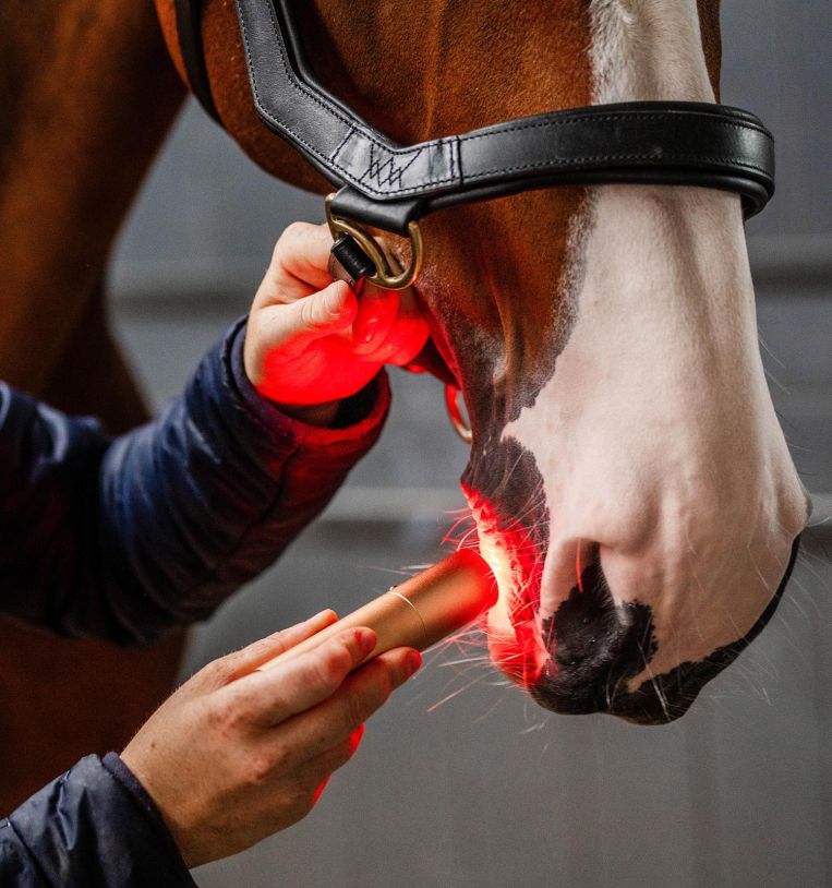 Horseware Ireland LED Red Light Therapy Wand #colour_black-black