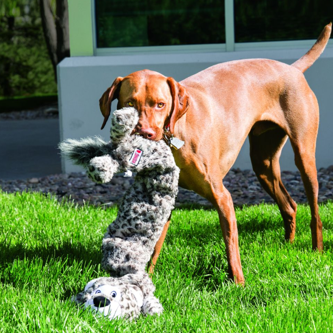 Kong streperzz jumbo