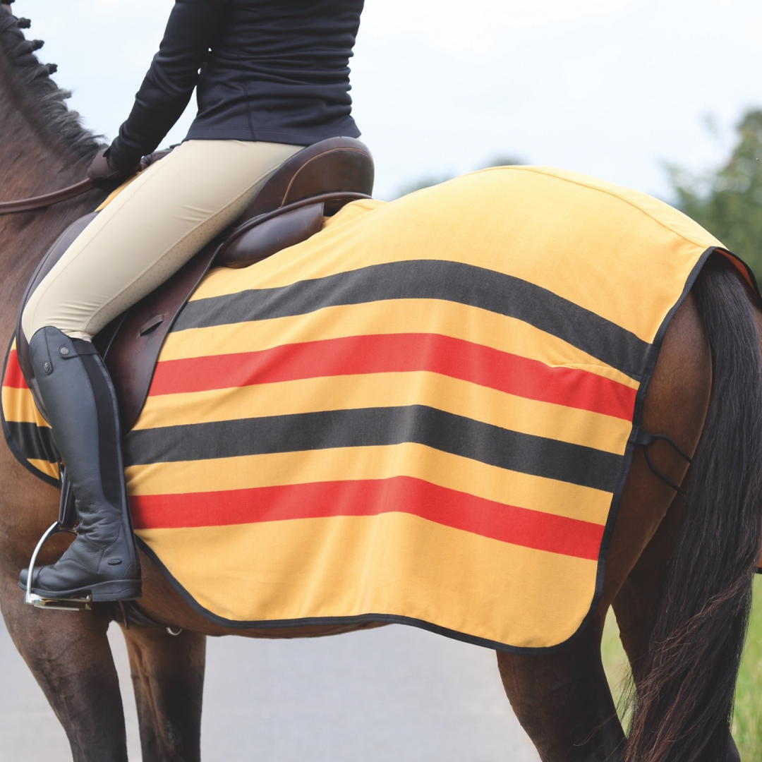 Shires Tempest Original Newmarket Fleece-Übungsdecke
