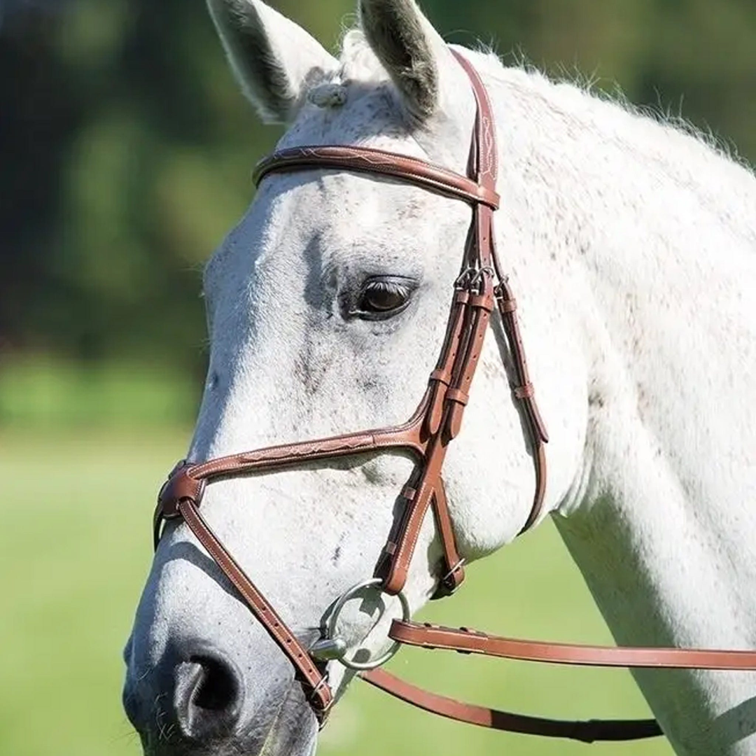 Shires Avignon Grackle Bridle #colour_oak