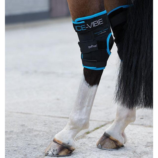 Horseware Ireland Ice-Vibe Sprunggelenkbandage