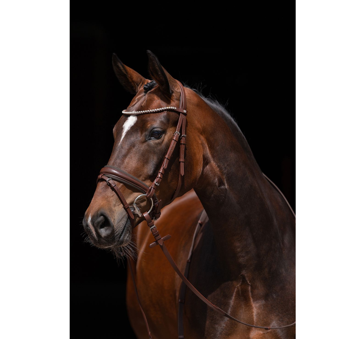 HKM Flora Bridle #colour_brown