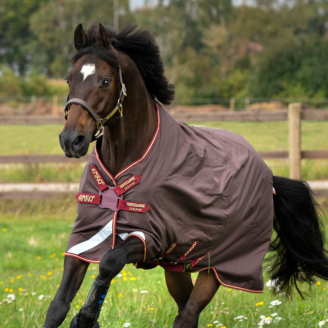 Horseware Ireland Amigo Bravo 12 Original 0g Lite Weidedecke mit Scheibenverschluss vorne
