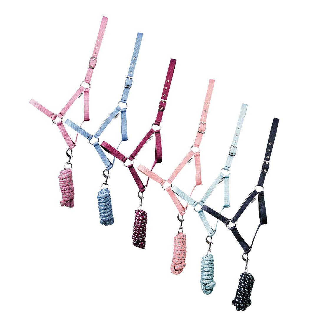 Hy Equestrian Synergy Halfter und Führseil-Set