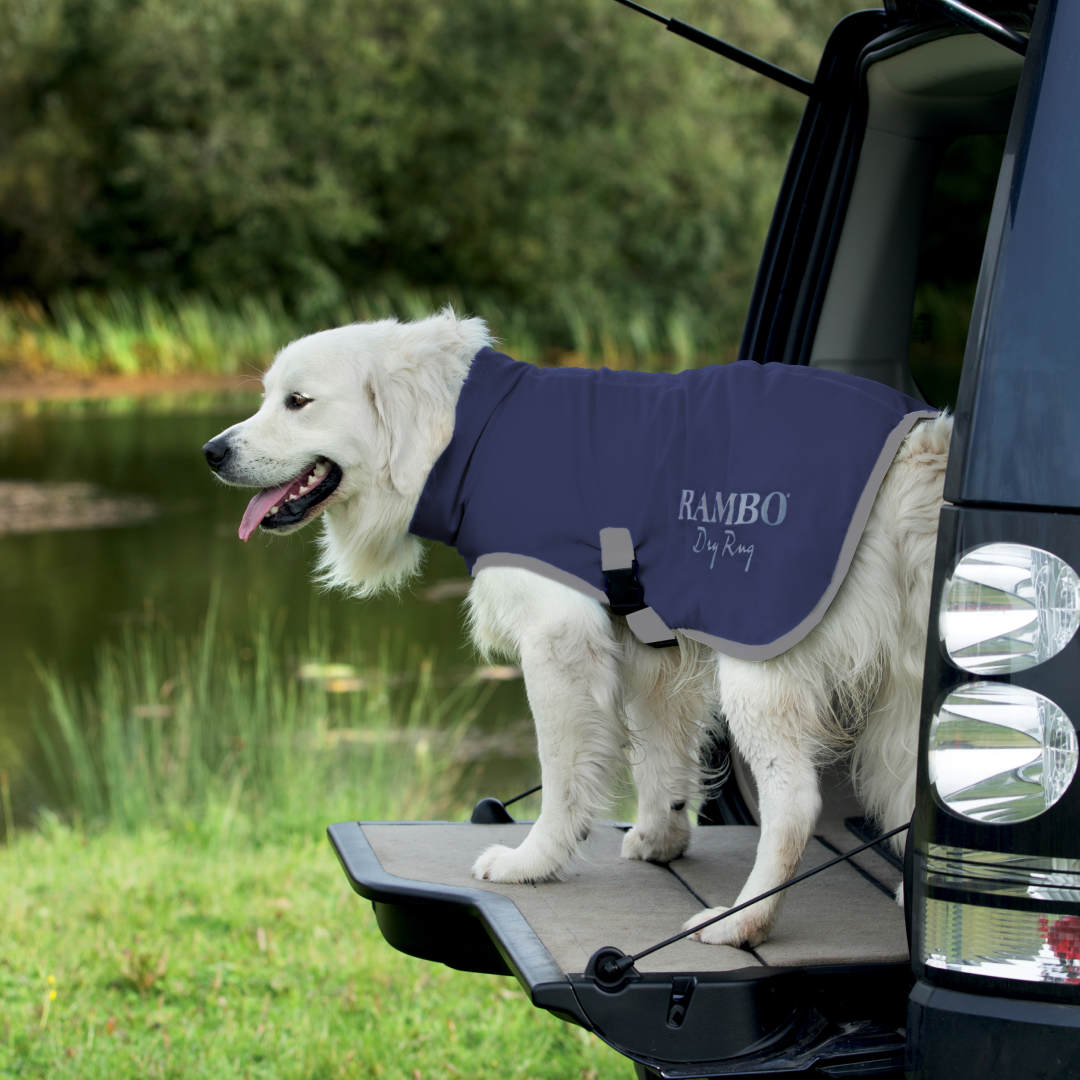 Horseware Ireland Rambo Dog Dry Rug #colour_navy-silver
