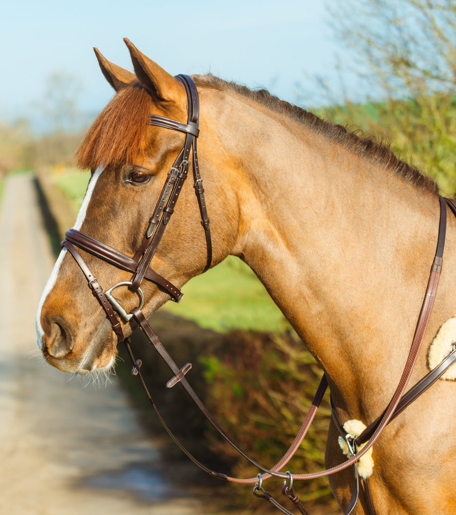 Mackey Classic Padded Flash Bridle #colour_brown