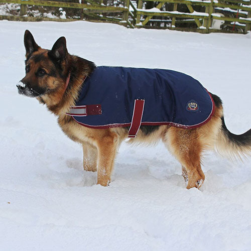 Mackey Buster Waterproof 600D Dog Rug