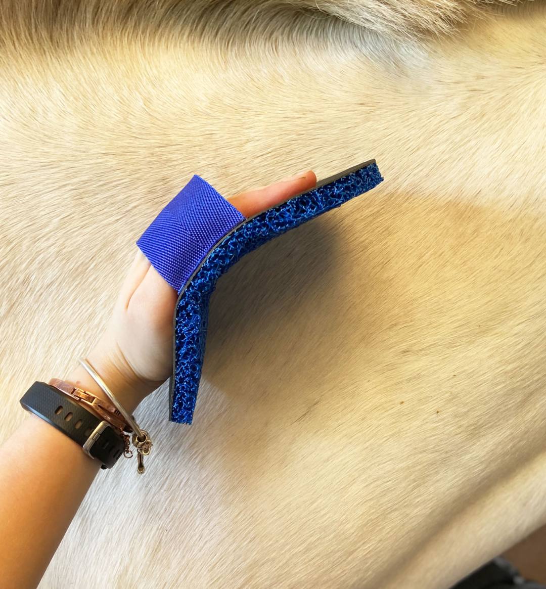 Super toiletteur de luxe Smart Grooming